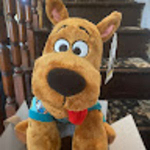 Meet your Posher, Jan